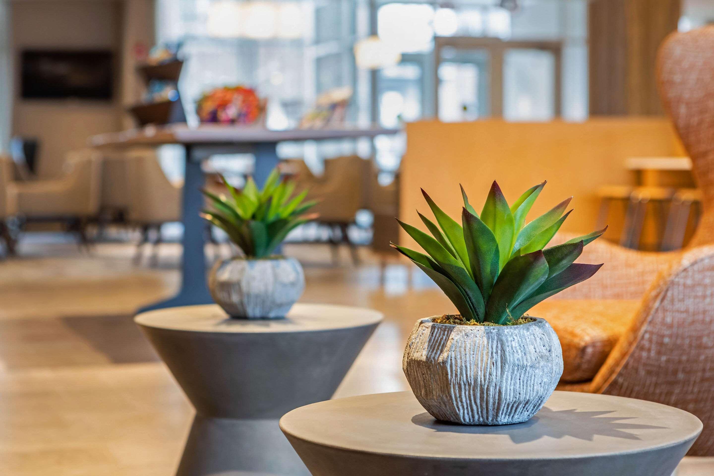 Cambria Hotel Calabasas - Malibu Kültér fotó